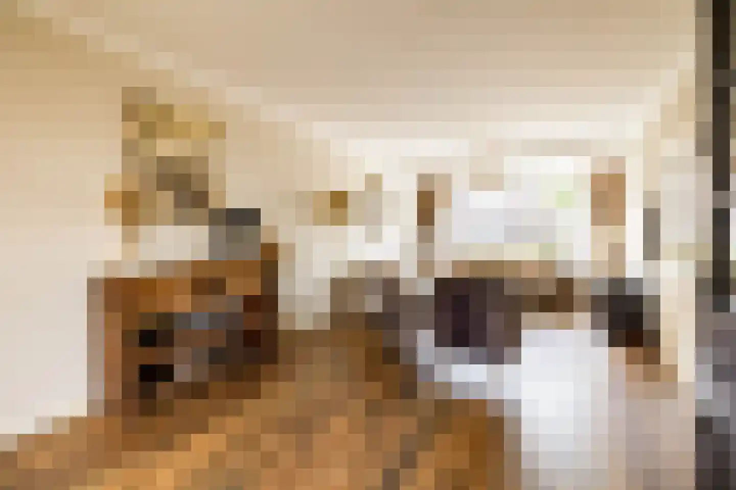Eisenhowerstraat 7 Oss thumbnail 5