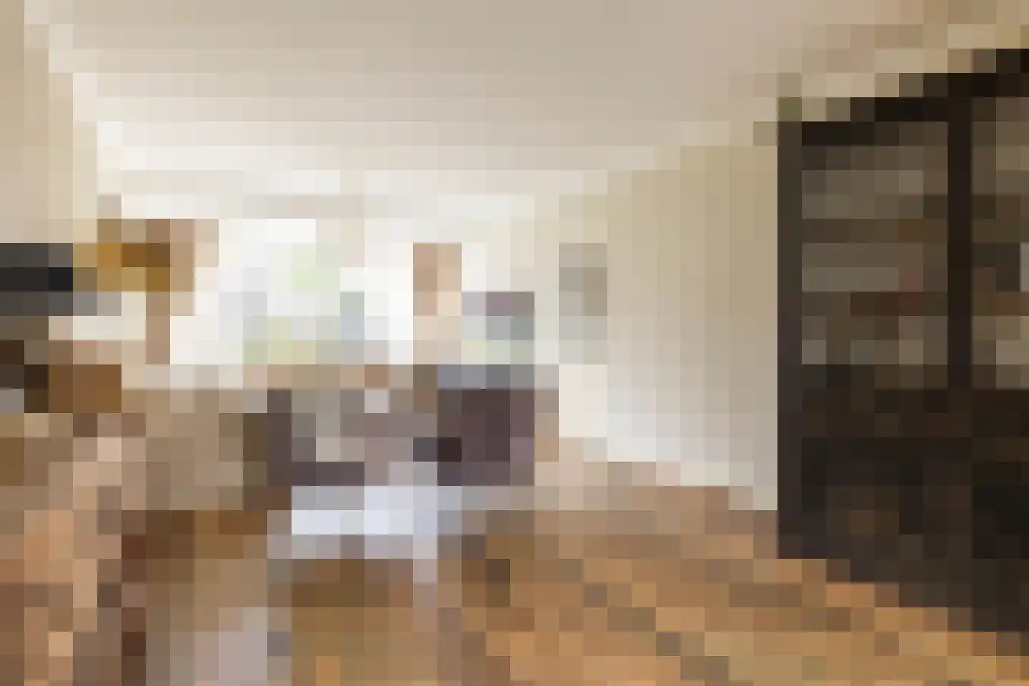Eisenhowerstraat 7 Oss thumbnail 6