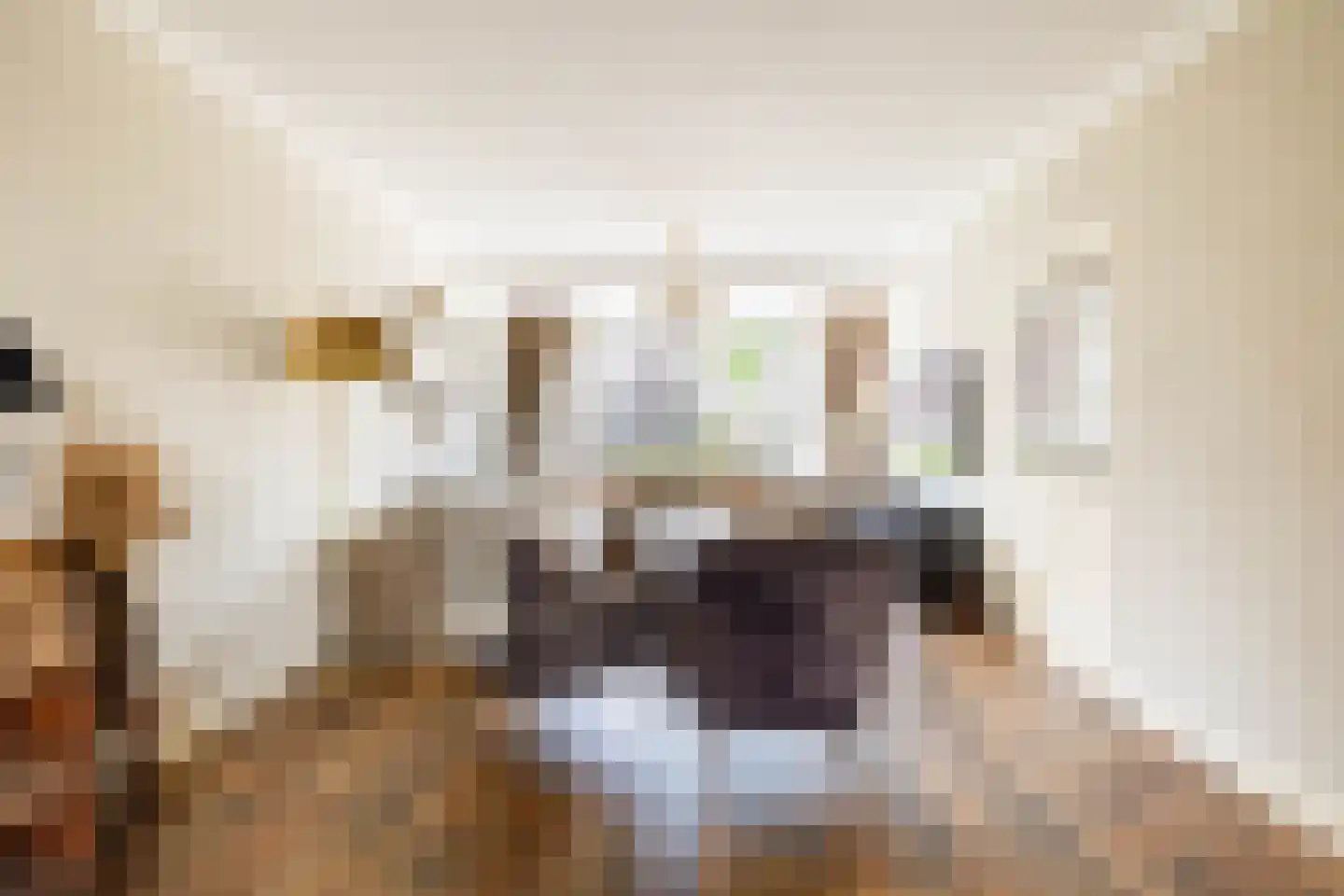 Eisenhowerstraat 7 Oss thumbnail 7
