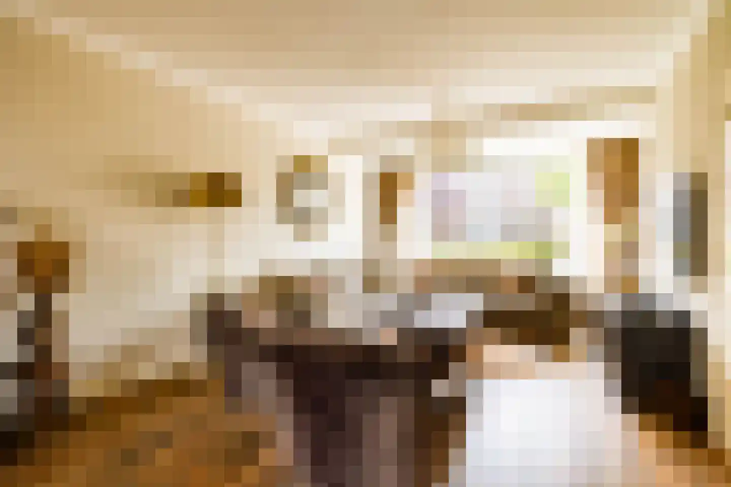 Eisenhowerstraat 7 Oss thumbnail 8