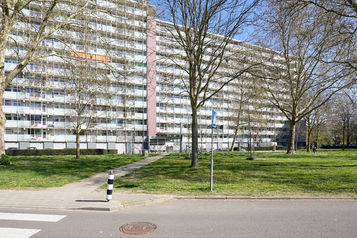 Eisenhowerstraat 715 in Sittard photo