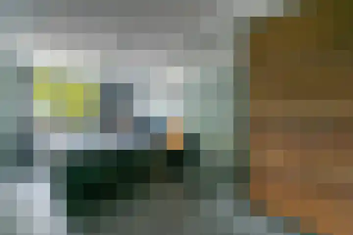 Eisenhowerstraat 9 Eygelshoven thumbnail 15