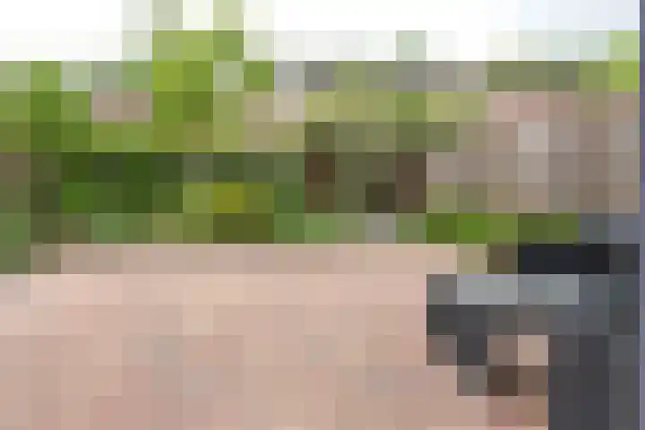 Eisenhowerstraat 9 Eygelshoven thumbnail 25
