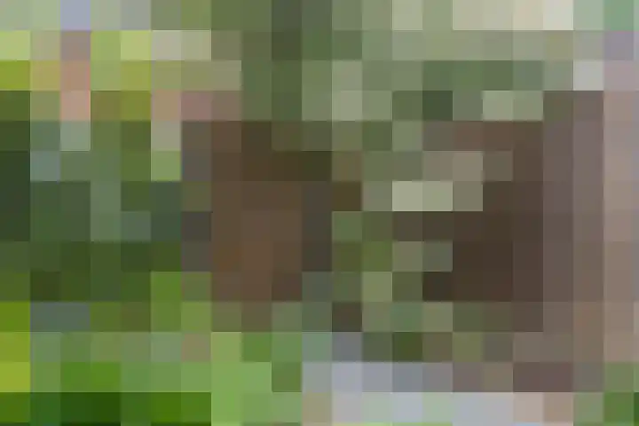 Eisenhowerstraat 9 Eygelshoven thumbnail 26