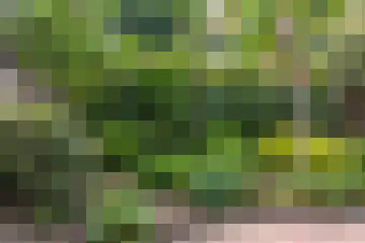 Eisenhowerstraat 9 Eygelshoven thumbnail 31