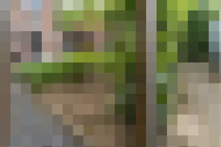 Eisenhowerstraat 9 Eygelshoven thumbnail 35