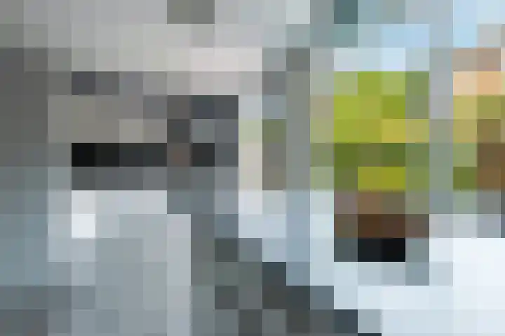 Eisenhowerstraat 9 Eygelshoven thumbnail 9