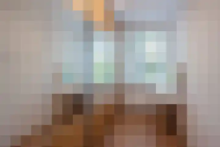 Eisensteinstrook 48 Zoetermeer thumbnail 27