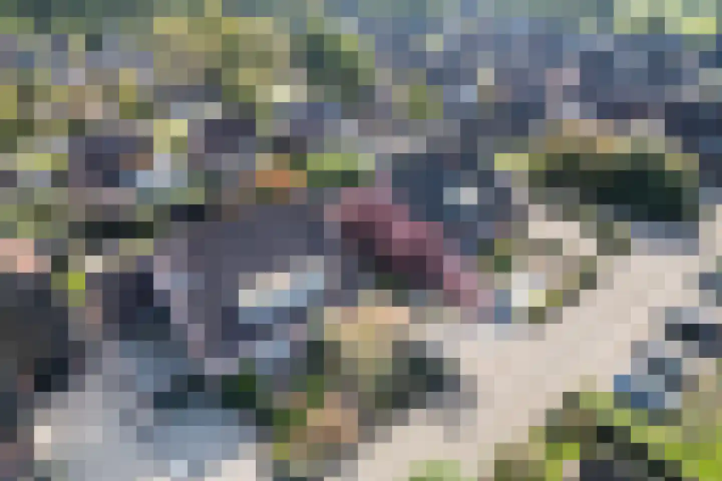 Eisenweg 7 Stuifzand thumbnail 47