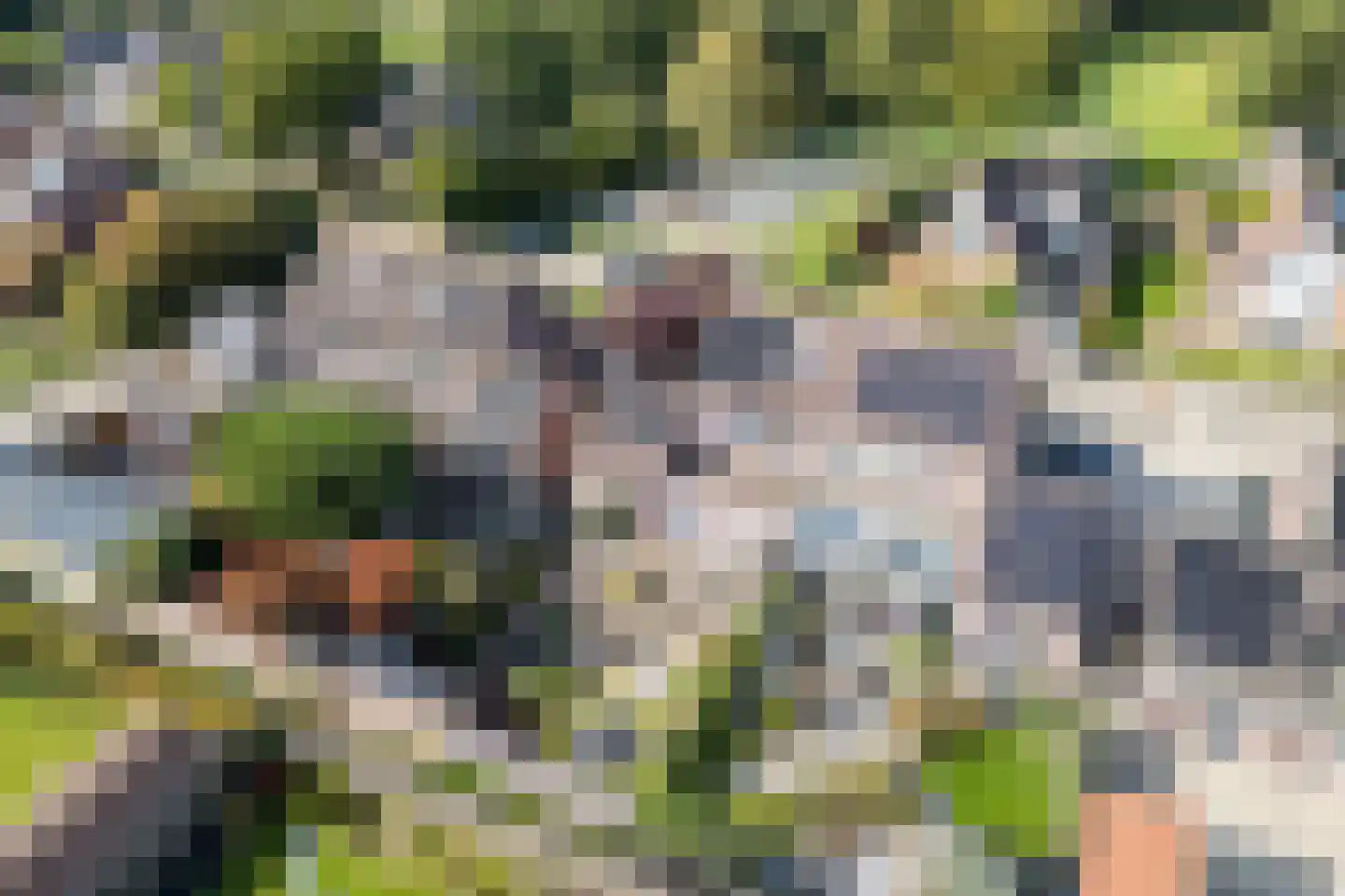 Eisenweg 7 Stuifzand thumbnail 49