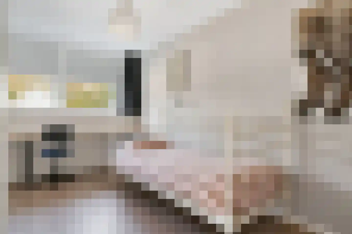 Eisenweg 7 Stuifzand thumbnail 7