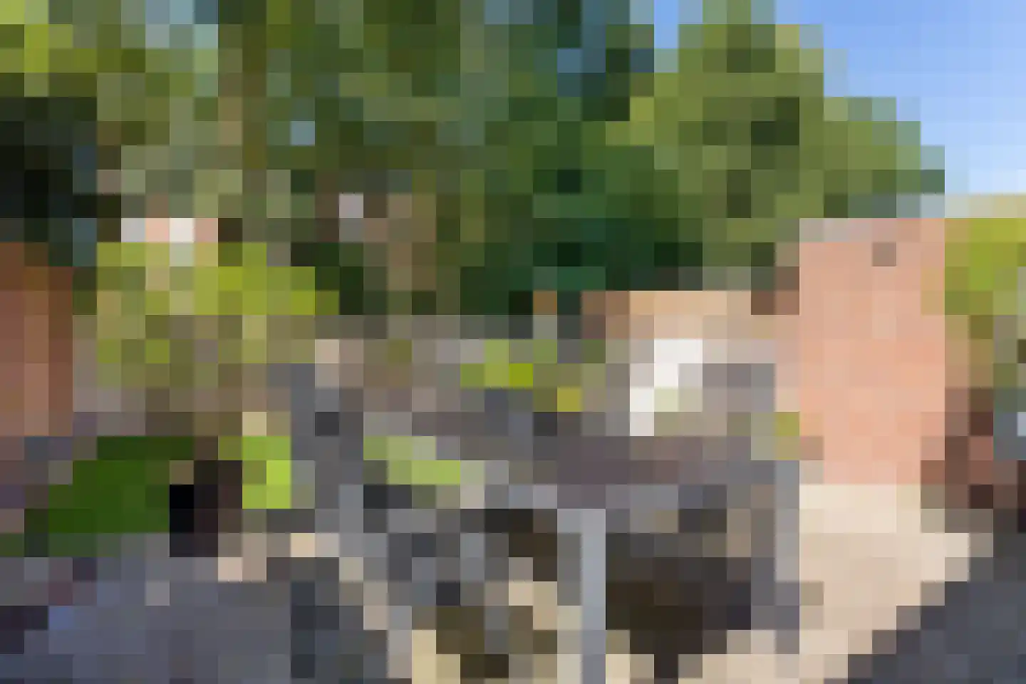 Eiswinkel 25 Eygelshoven thumbnail 22