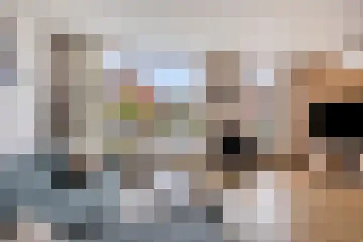 Eiswinkel 27 Eygelshoven thumbnail 10
