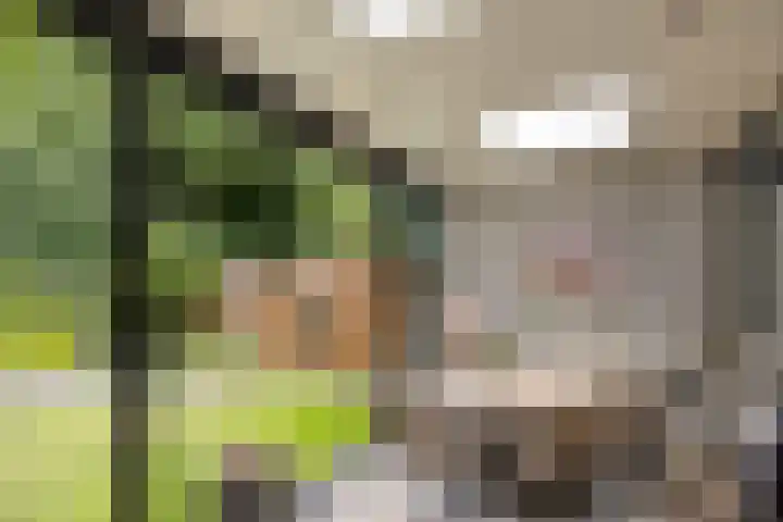 Eiswinkel 27 Eygelshoven thumbnail 32