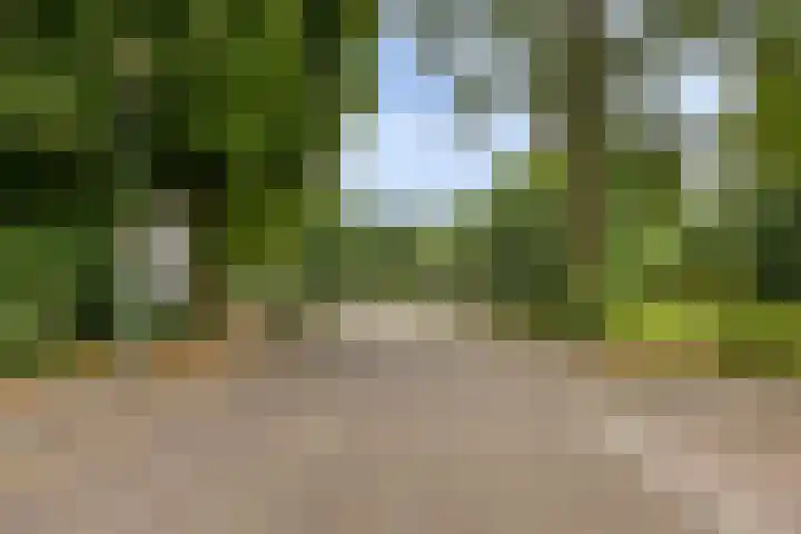 Eiswinkel 27 Eygelshoven thumbnail 39