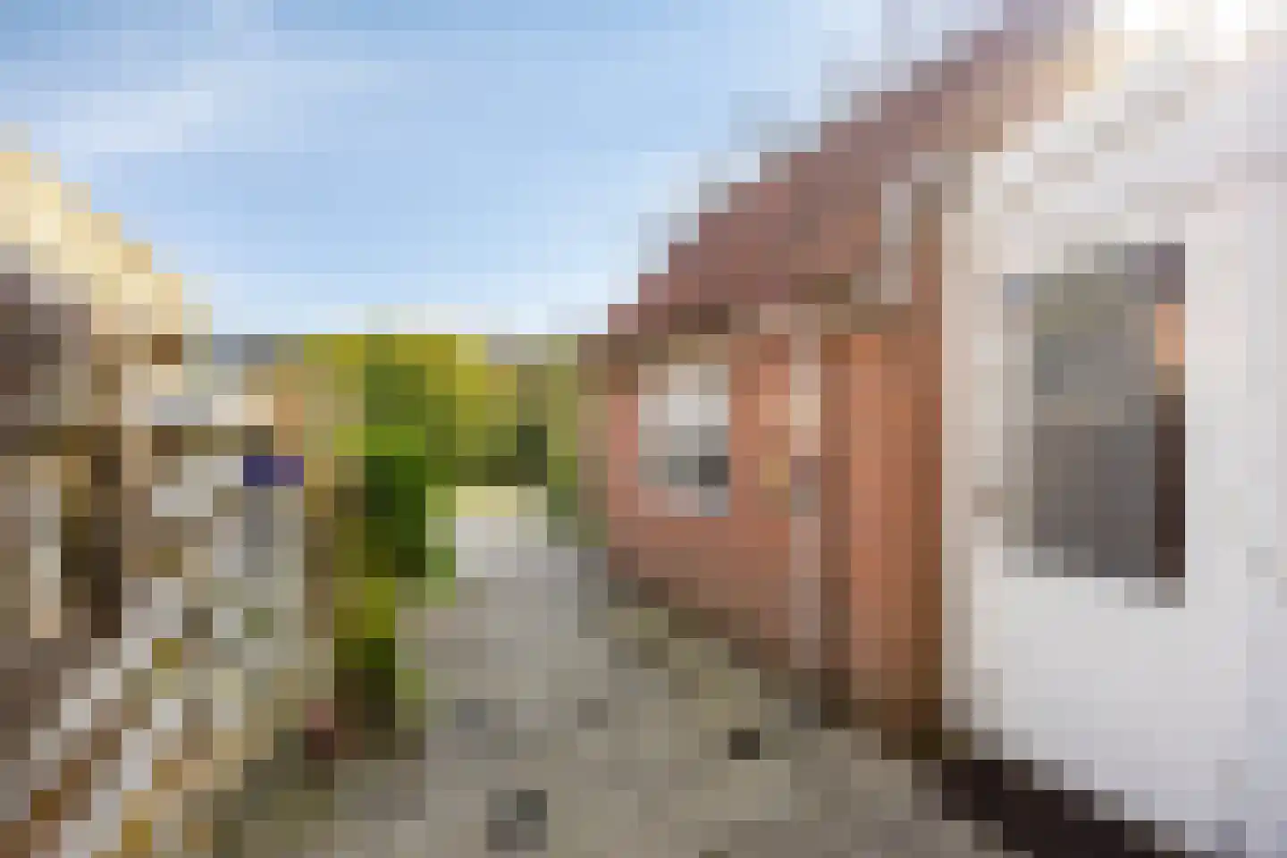 Eiteren 24 IJsselstein thumbnail 35
