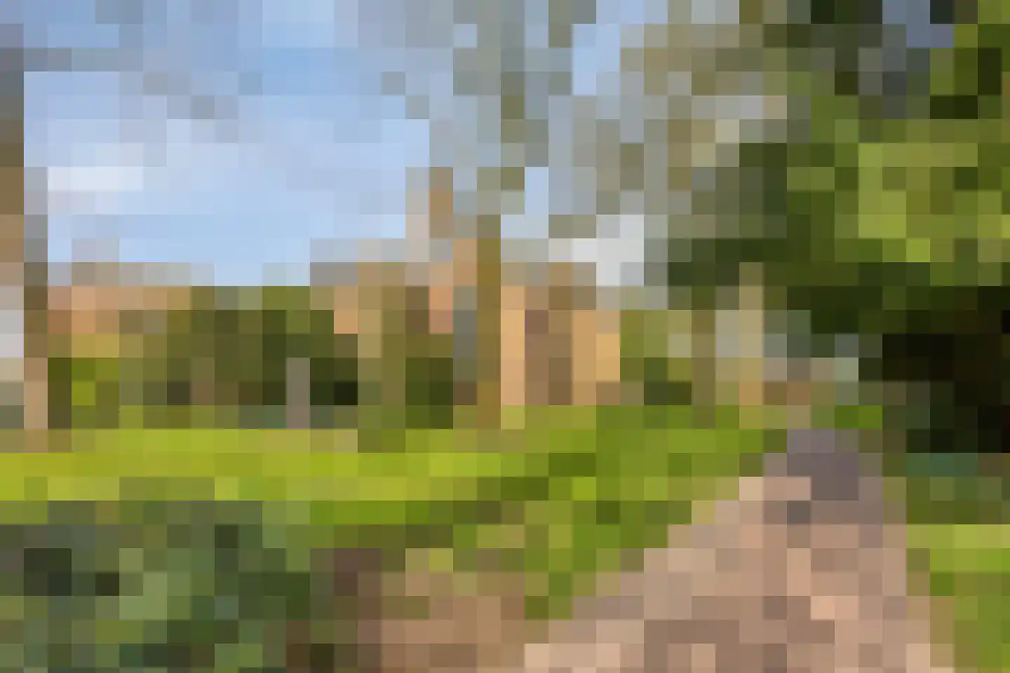 Eiteren 24 IJsselstein thumbnail 46