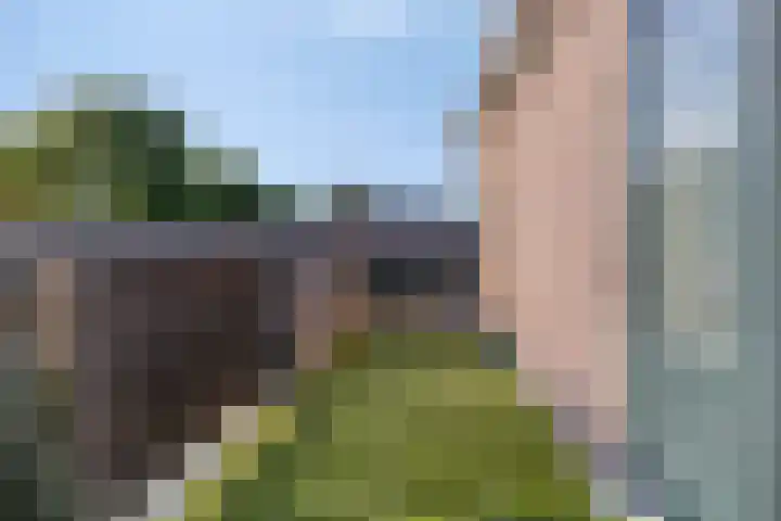 Eiteren 33 IJsselstein thumbnail 29