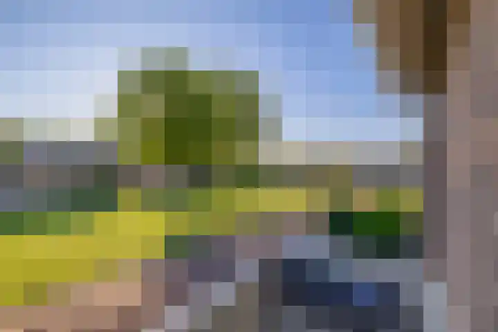 Eize Bosstraat 8 Drachten thumbnail 30