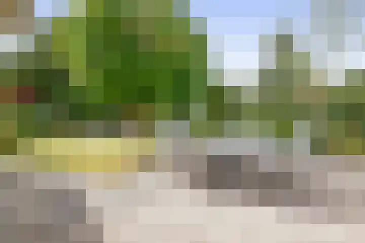 Eize Bosstraat 8 Drachten thumbnail 40