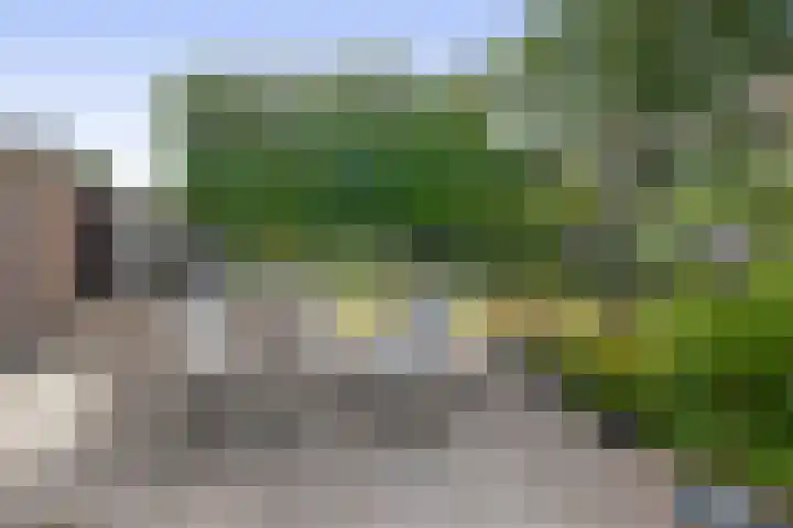 Eize Bosstraat 8 Drachten thumbnail 41
