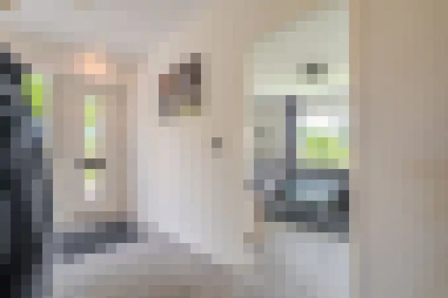 Ekamperweg 12 Finsterwolde thumbnail 16
