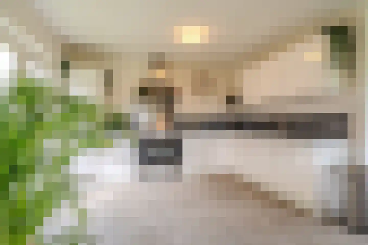 Ekamperweg 12 Finsterwolde thumbnail 26