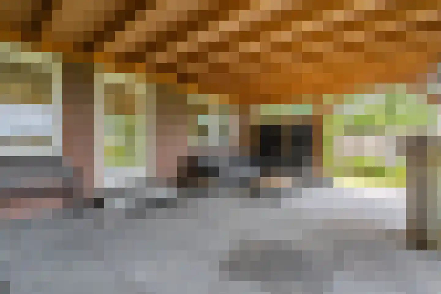 Ekamperweg 12 Finsterwolde thumbnail 50