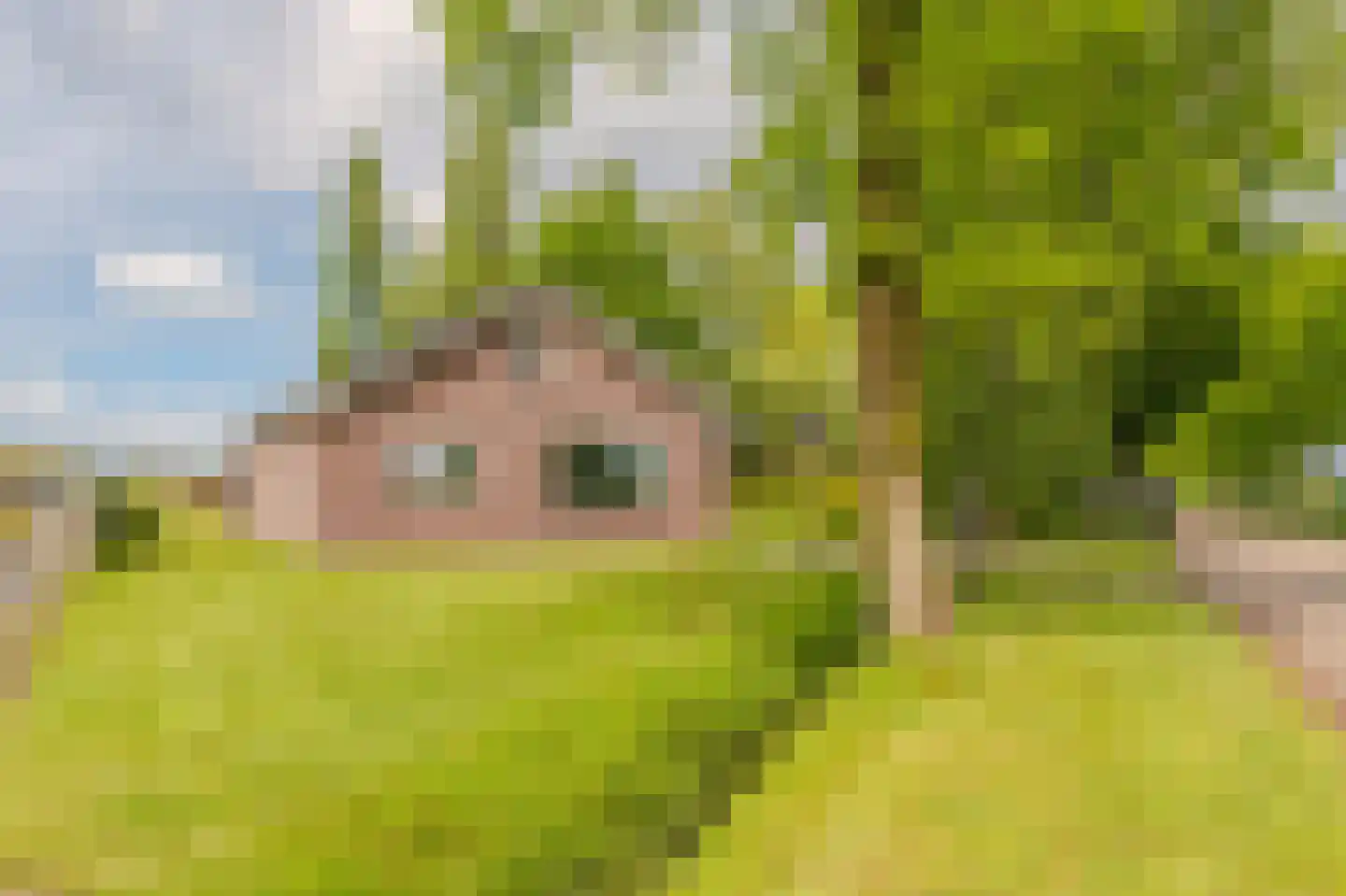 Ekamperweg 12 Finsterwolde thumbnail 6