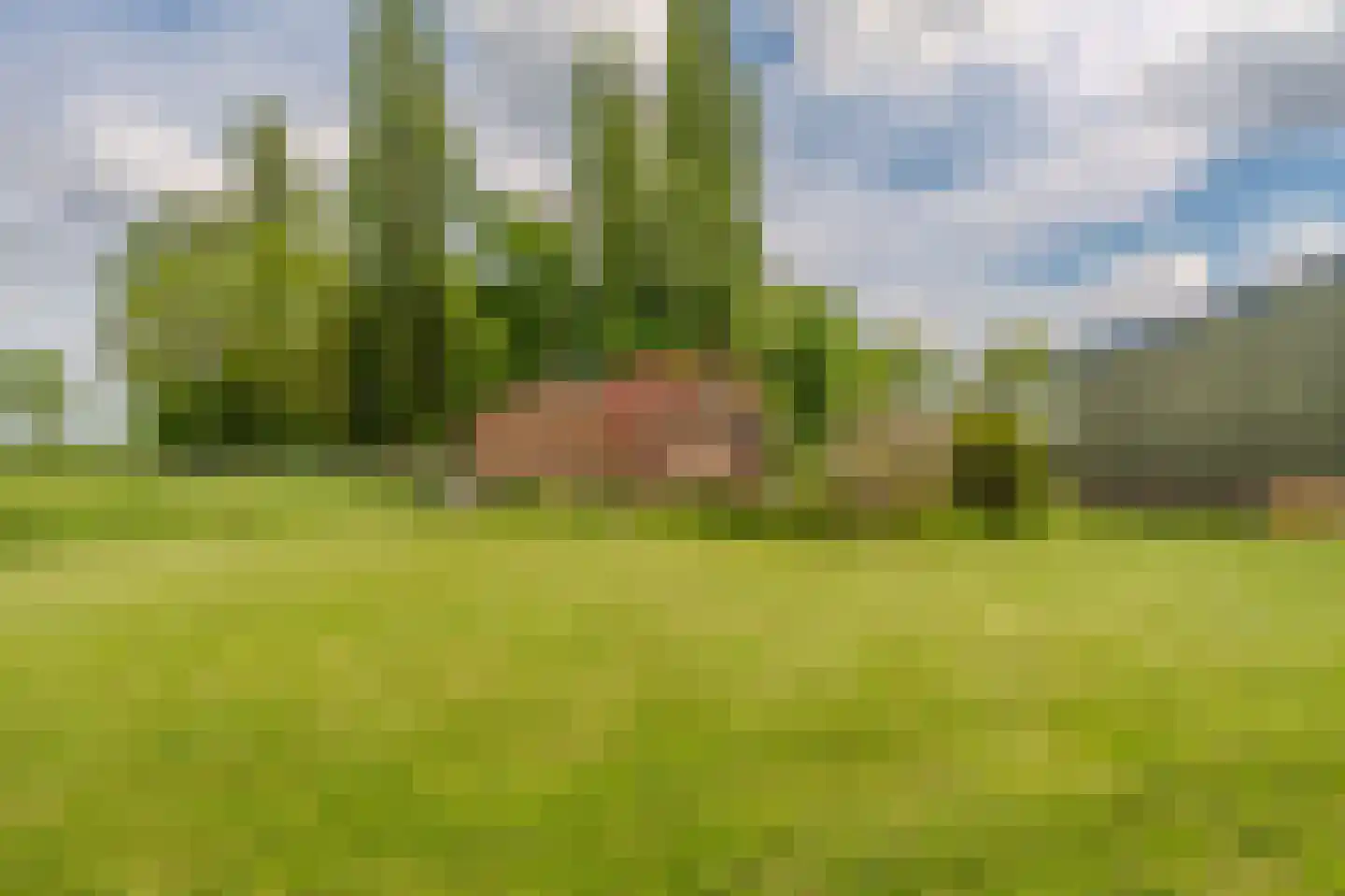 Ekamperweg 12 Finsterwolde thumbnail 60