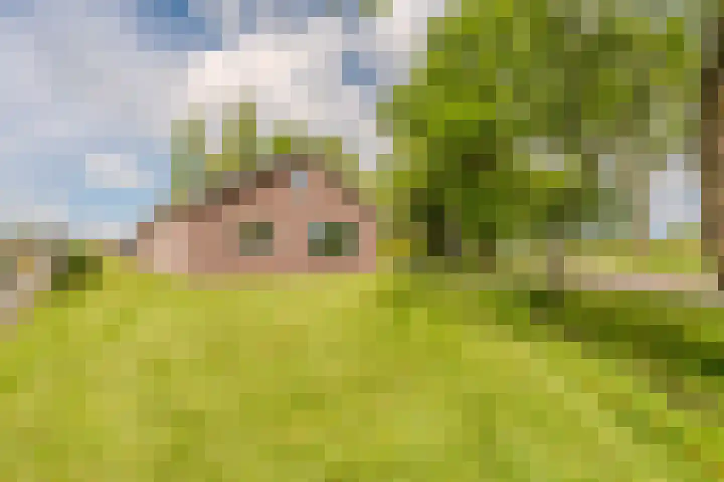 Ekamperweg 12 Finsterwolde thumbnail 9