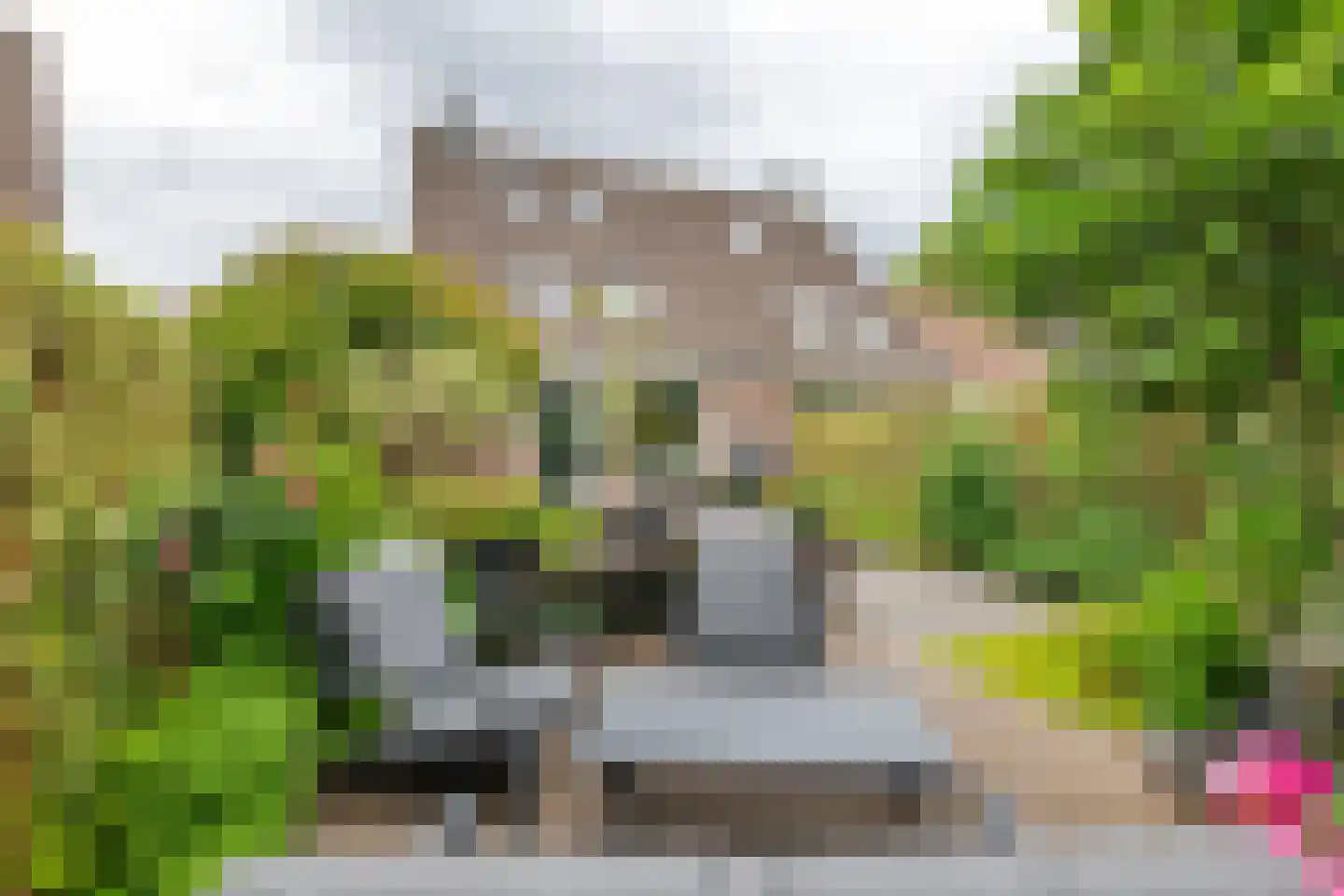 Ekelen 11 Druten foto 2
