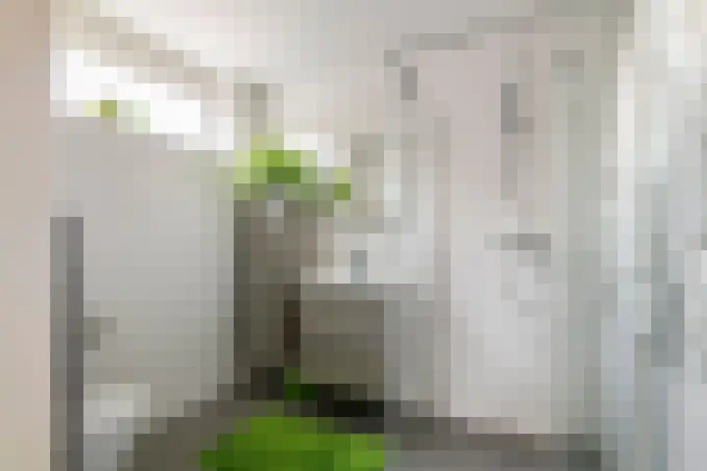 Ekelen 11 Druten thumbnail 21