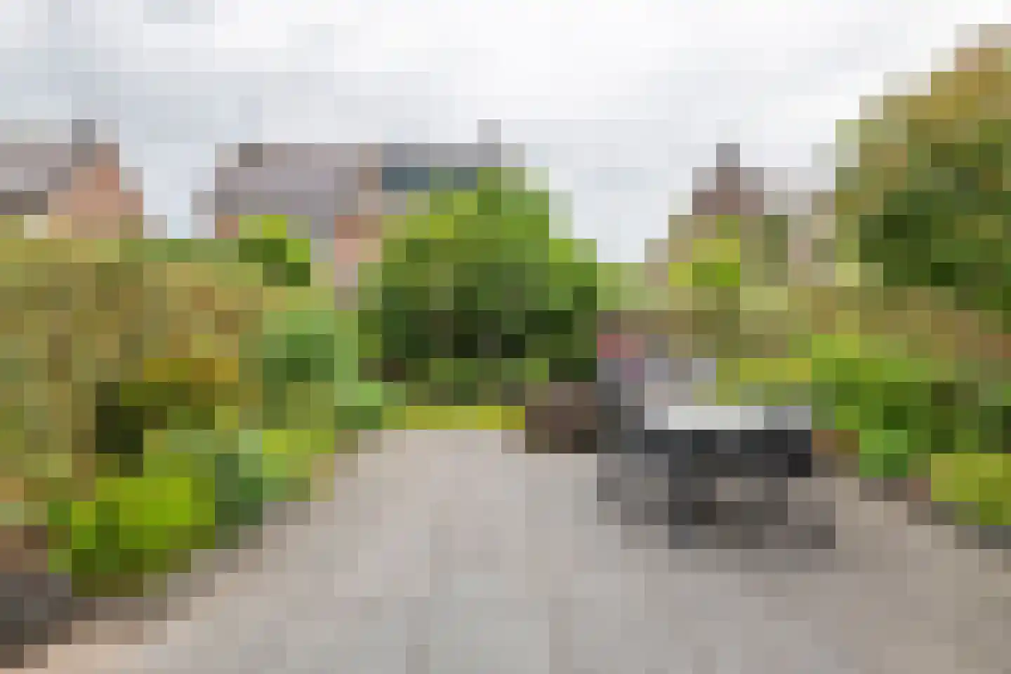 Ekelen 11 Druten thumbnail 30