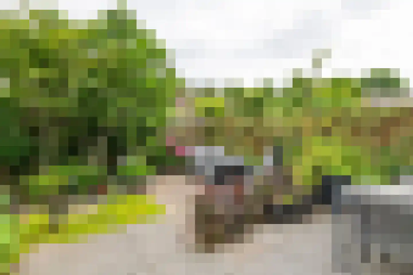 Ekelen 11 Druten thumbnail 32