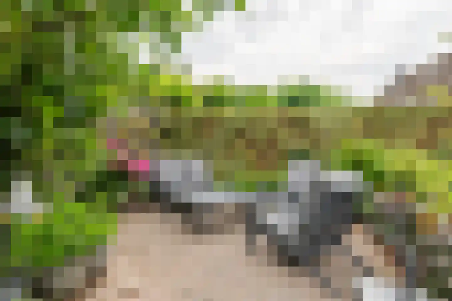 Ekelen 11 Druten thumbnail 33