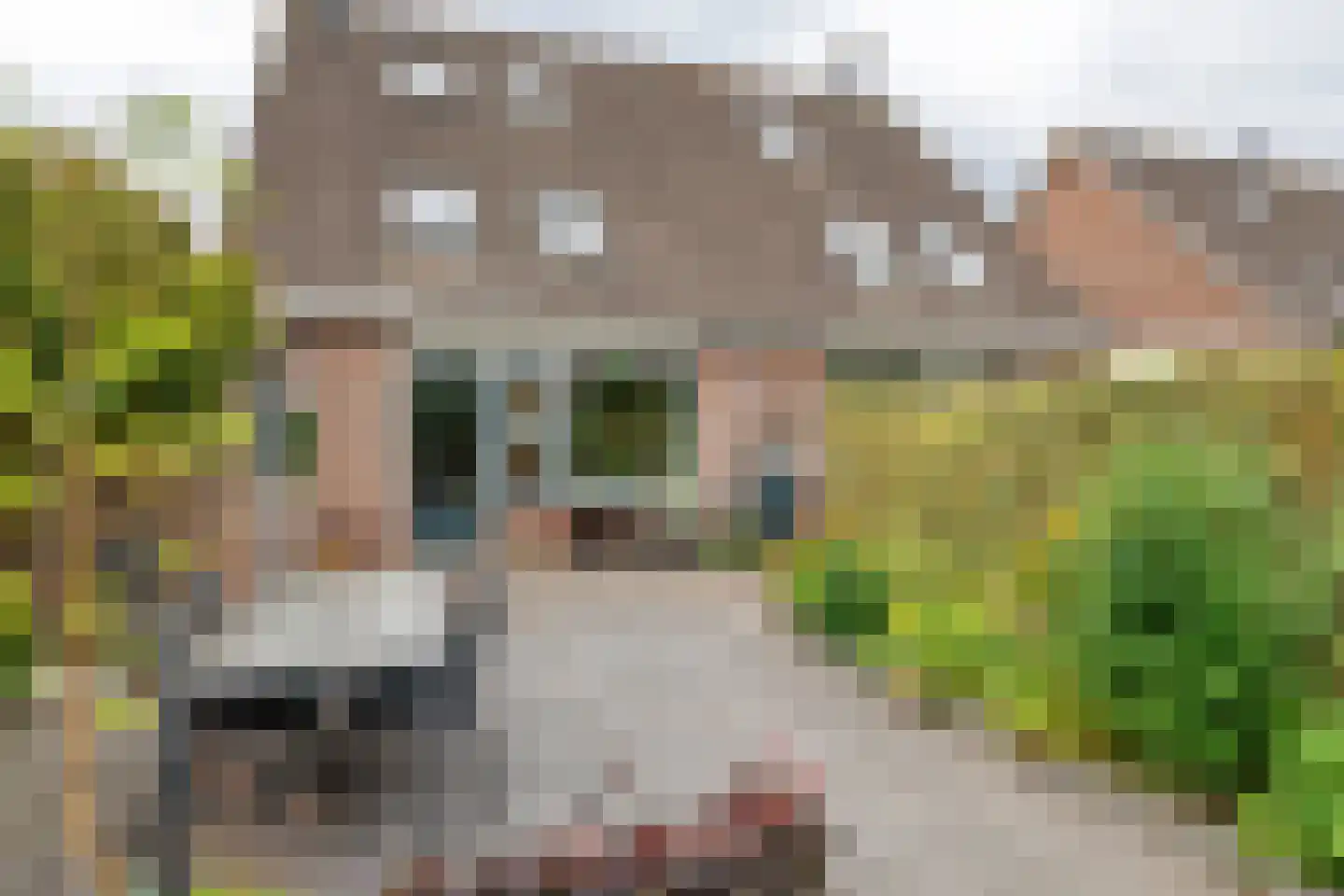 Ekelen 11 Druten thumbnail 34