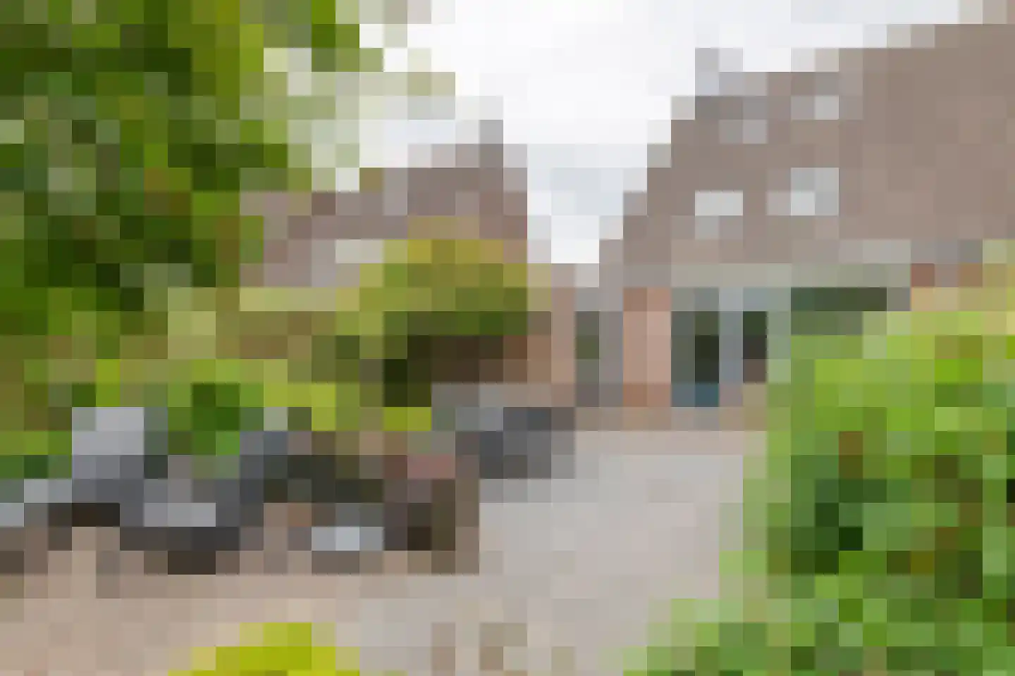 Ekelen 11 Druten thumbnail 35