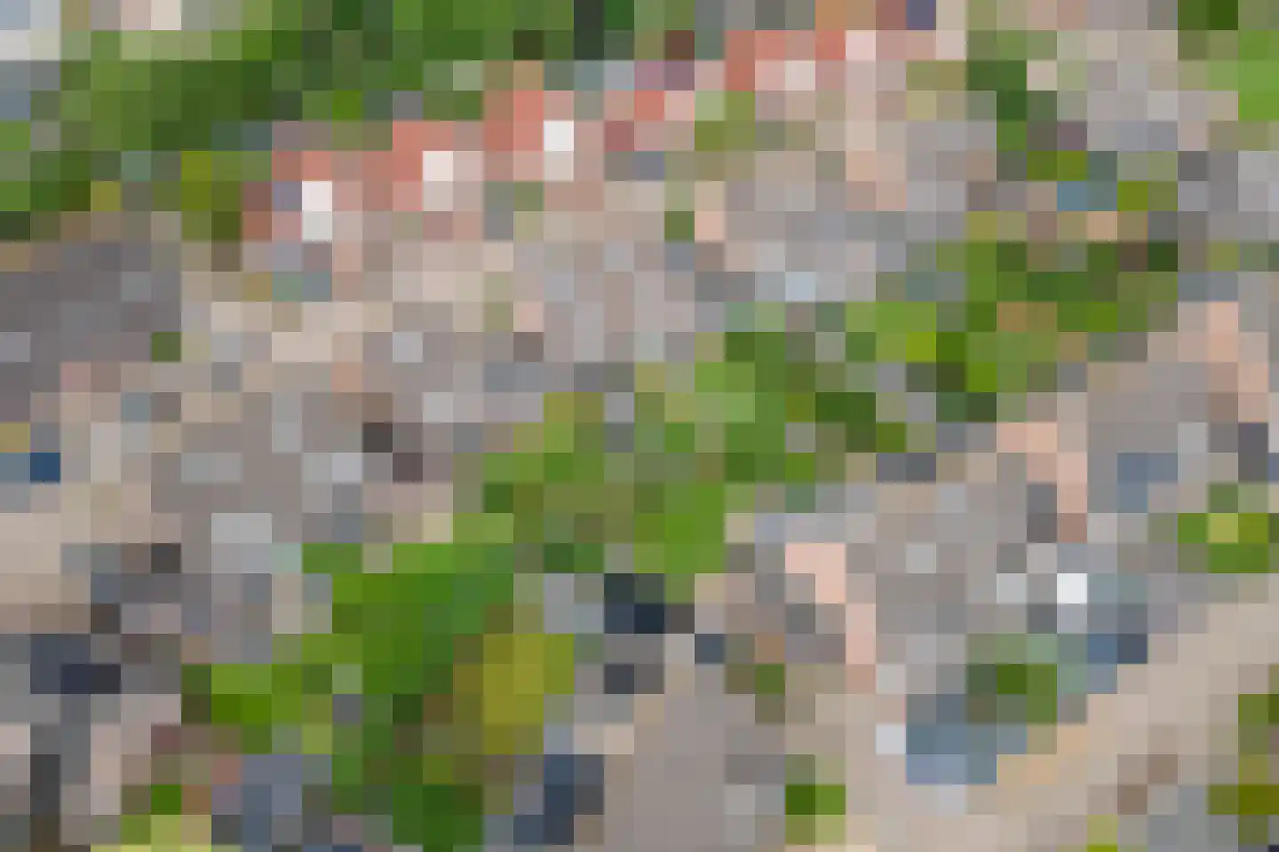Ekelen 11 Druten thumbnail 39