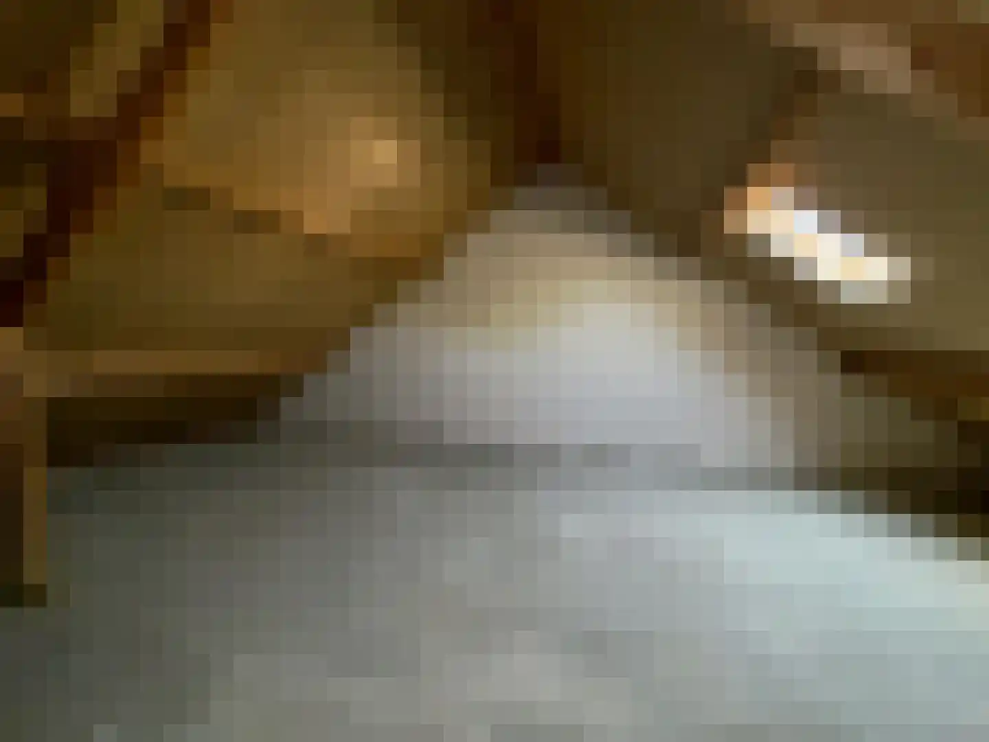 Ekelen 35 Druten thumbnail 20