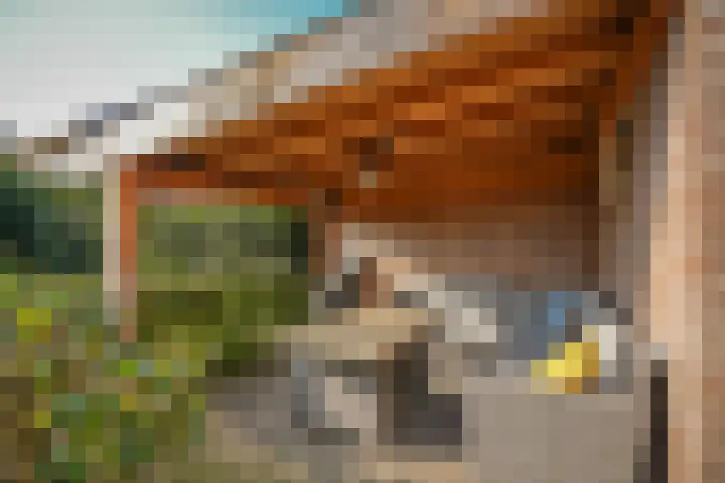 Ekelen 58 Druten thumbnail 46