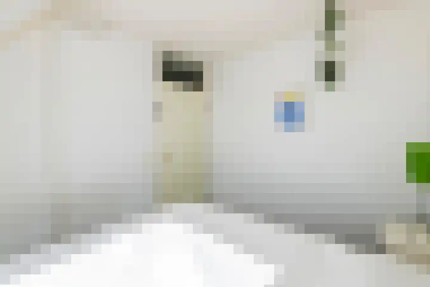 Ekelen 62 Druten thumbnail 24
