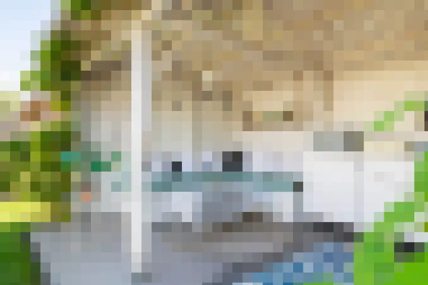 Ekelen 62 Druten thumbnail 36