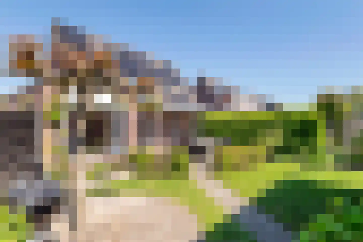 Ekelen 62 Druten thumbnail 38
