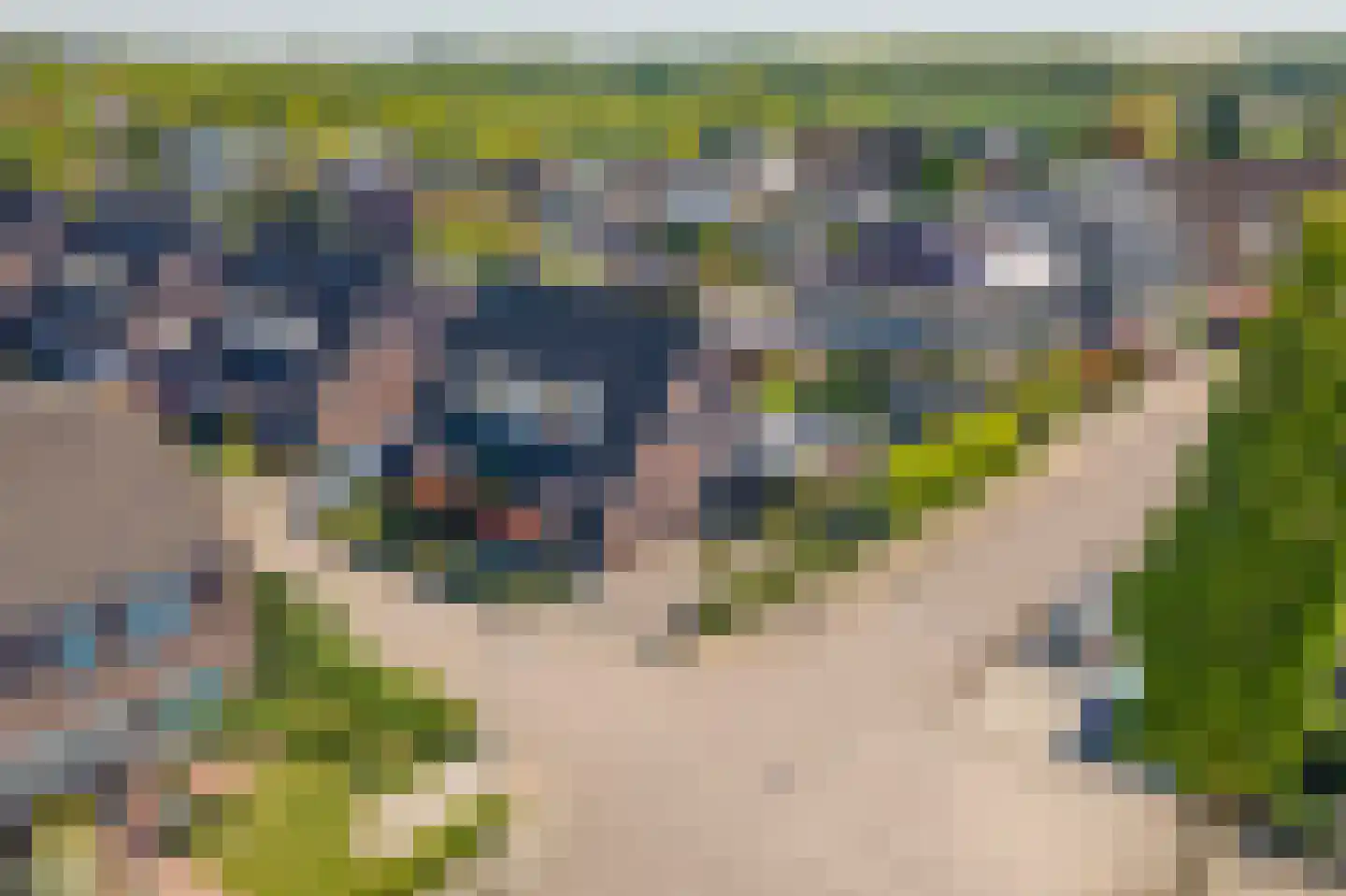 Ekelen 62 Druten thumbnail 42