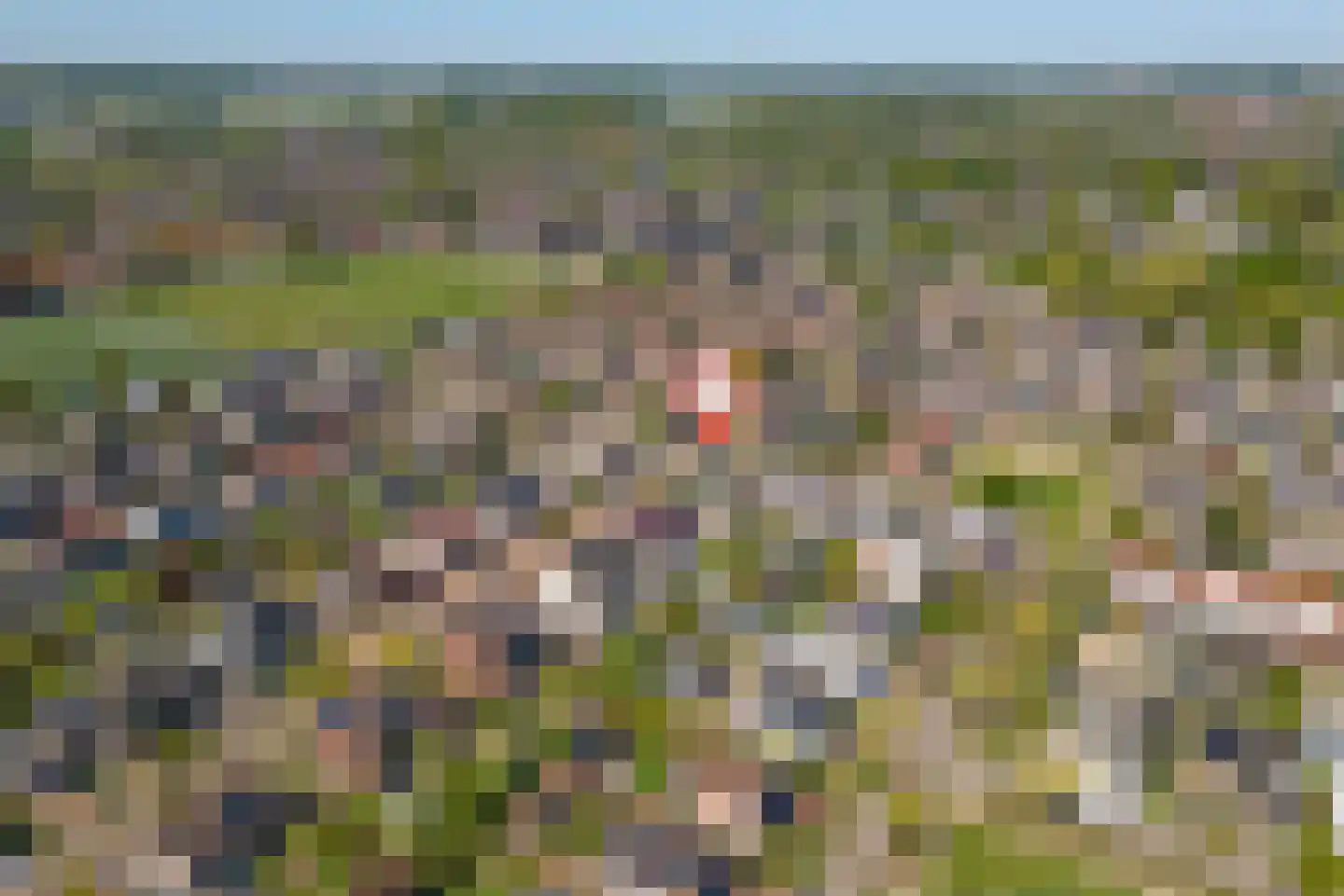 Ekelen 62 Druten thumbnail 44