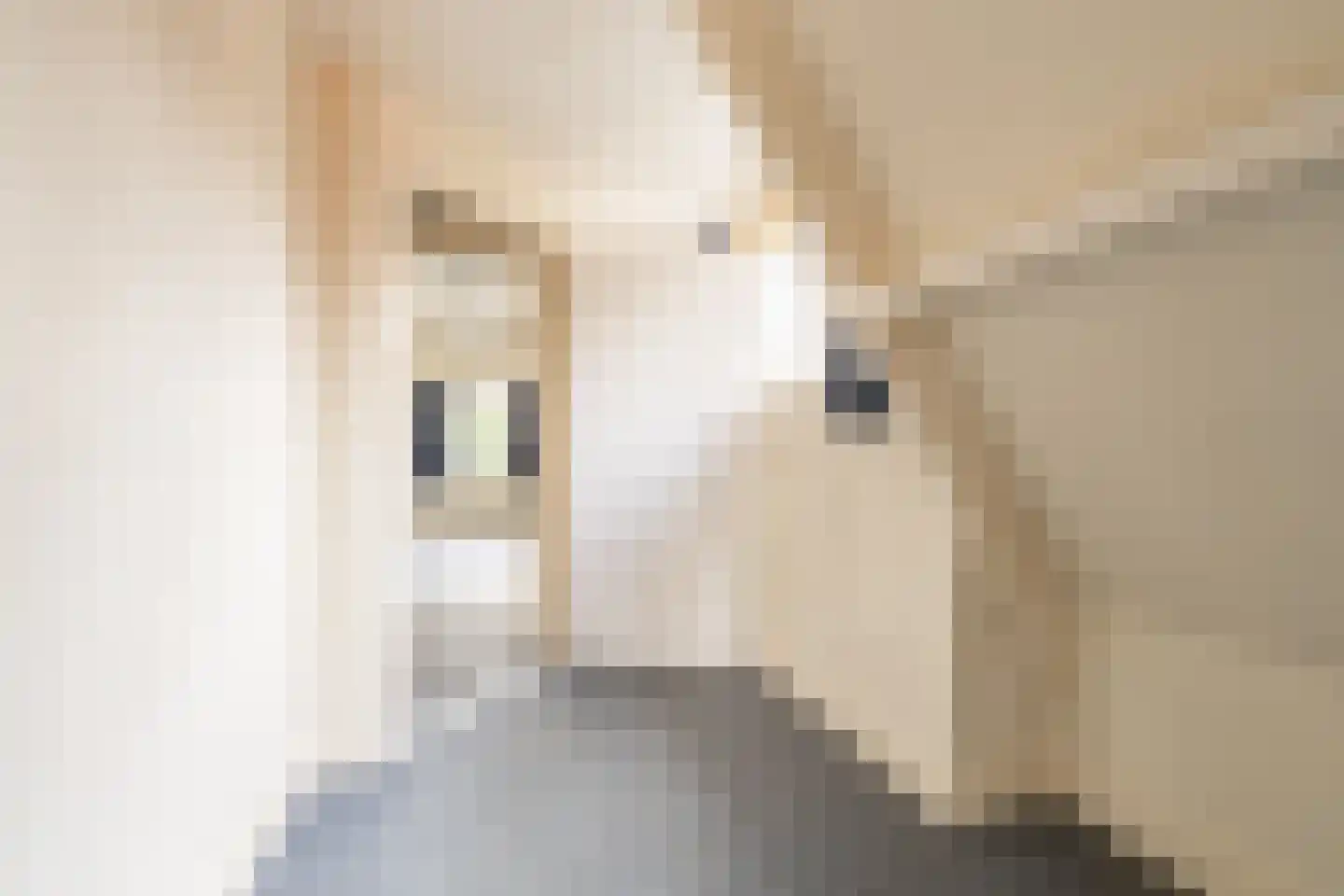 Ekelshoek 2 Blaricum thumbnail 27