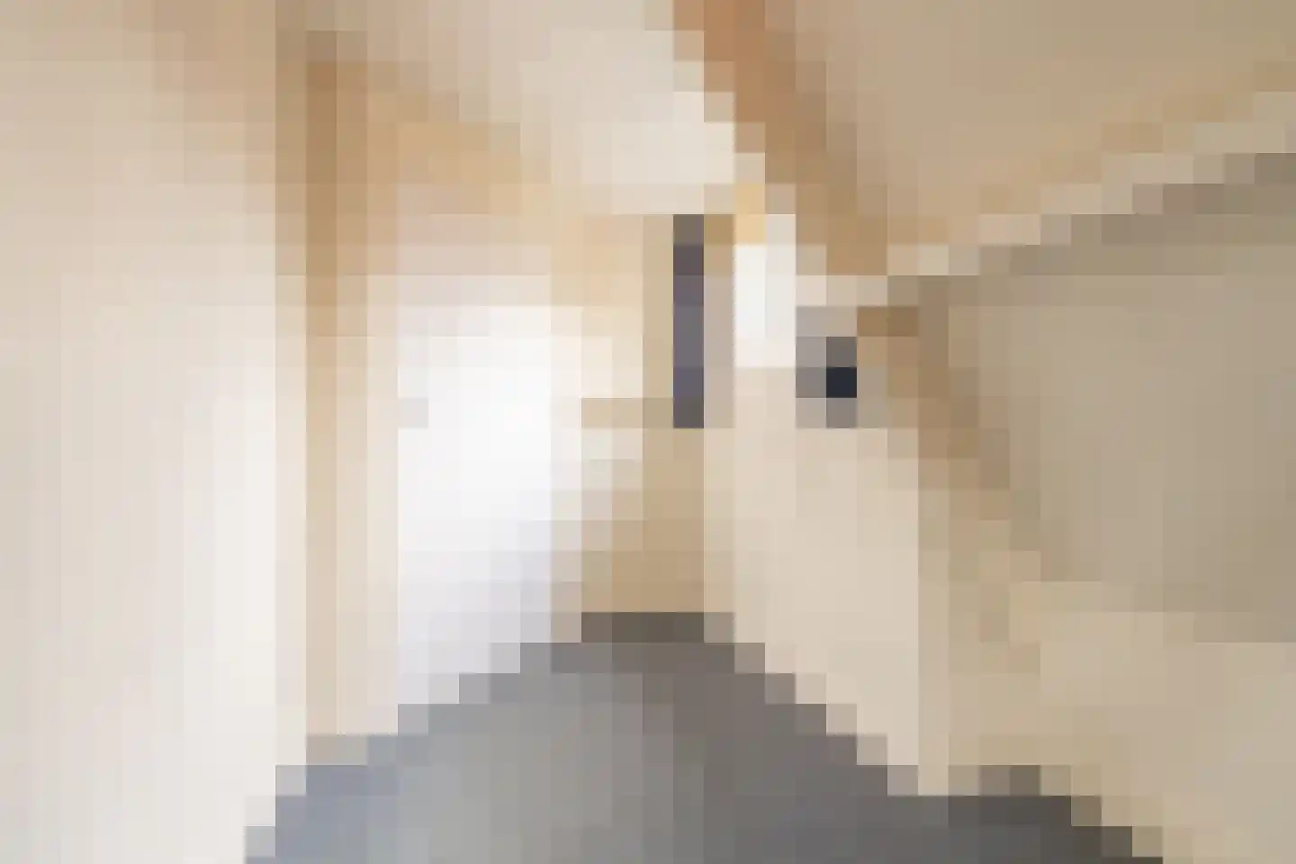 Ekelshoek 2 Blaricum thumbnail 28