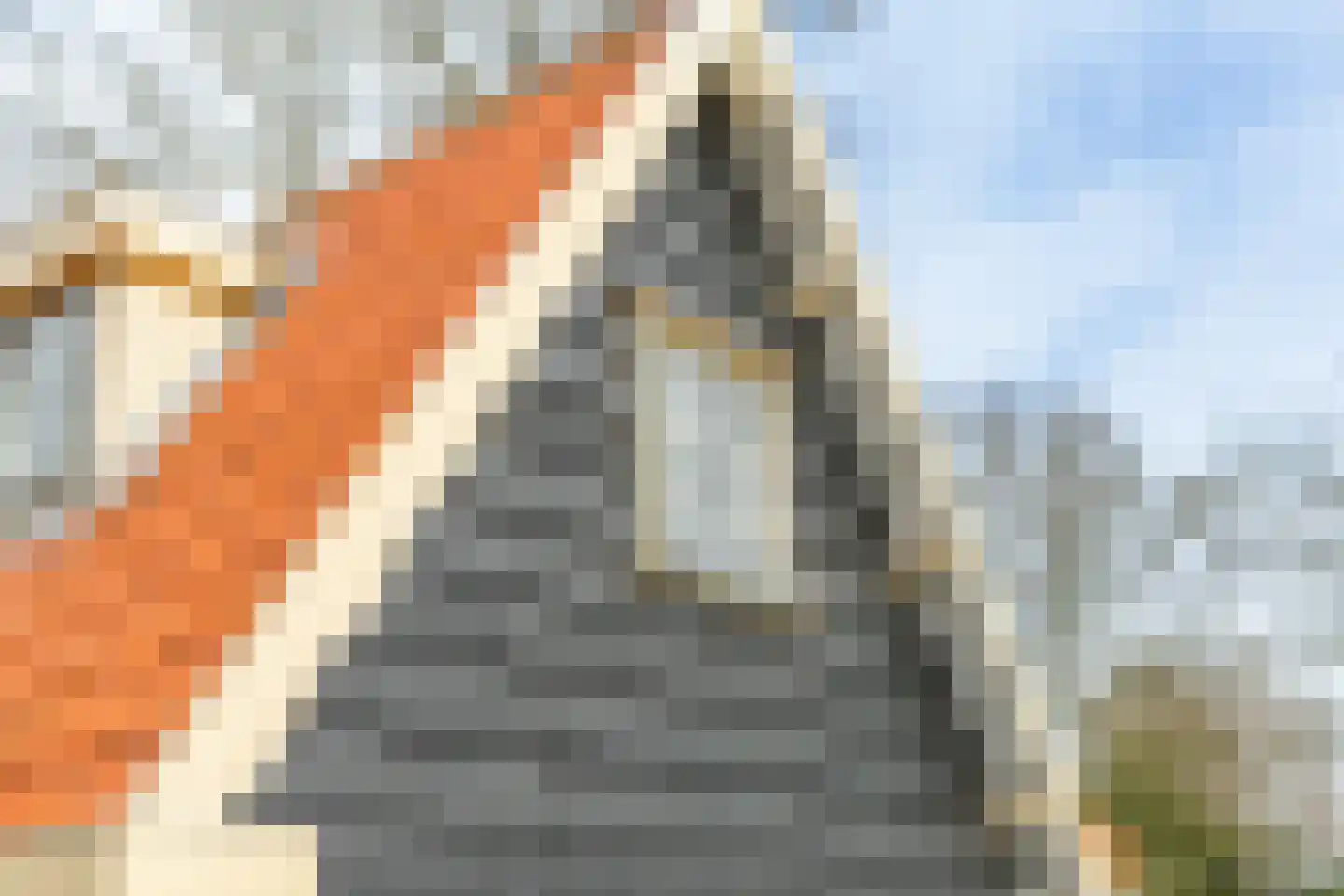 Ekelshoek 2 Blaricum thumbnail 33