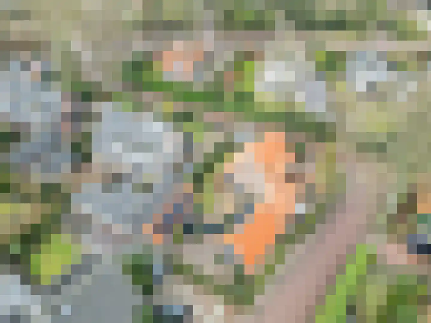 Ekelshoek 2 Blaricum thumbnail 39